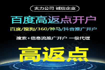 案例研究：SEM代运营服务公司的创新策略